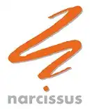 Narcissus