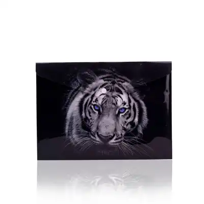 Teczka kopertowa na zatrzask Panta Plast Tiger A5