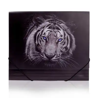 Teczka na gumkę Panta Plast Tiger A4
