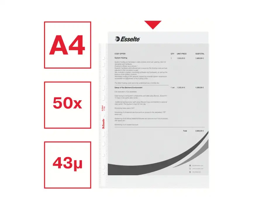 Koszulki na dokumenty Esselte At Hand A4 groszkowe w pudełku 43 mikronów