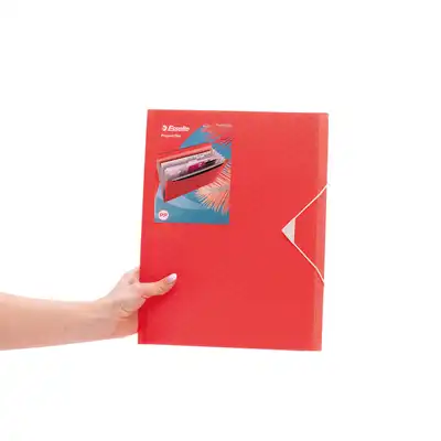 Teczka z przegródkami Esselte Colour'Breeze 6 przegród koralowy