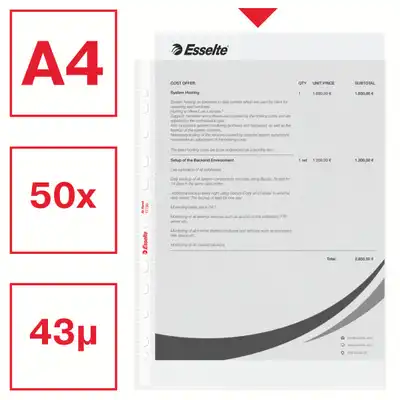 Koszulki na dokumenty Esselte At Hand A4 groszkowe w pudełku 43 mikronów