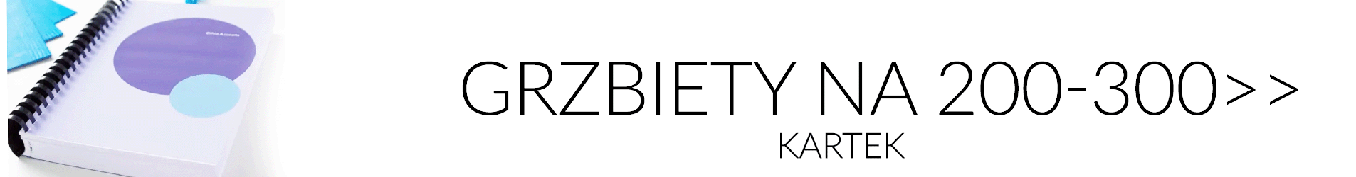 Organizacja dokumentów/Oprawa dokumentów/Grzbiety do bindowania/200-300