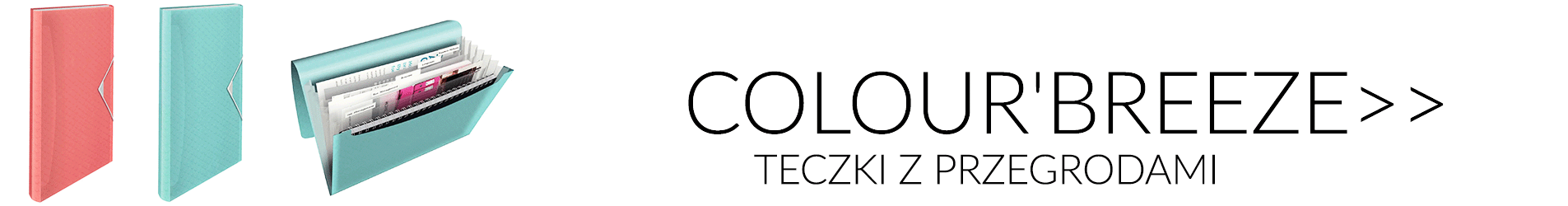 Organizacja dokumentów/Teczki/Teczki z przegródkami/COLOUR