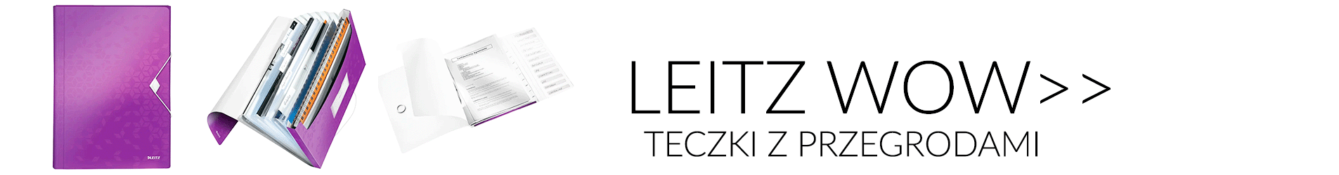 Organizacja dokumentów/Teczki/Teczki z przegródkami/LEITZ WOW