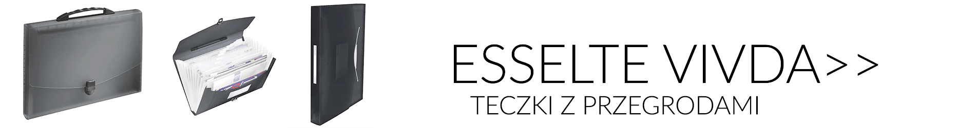 Organizacja dokumentów/Teczki/Teczki z przegródkami/VIVDA