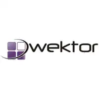 Wektor