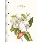 Kołozeszyt A4 w linie 80 kartek Student Book Astra