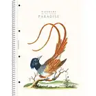Kołozeszyt A4 w linie 80 kartek Student Book Astra