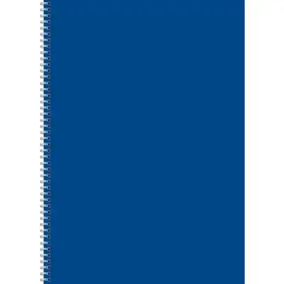 Kołobrulion A4 96 kartek gładki Kreska