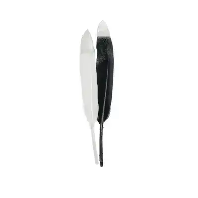 Piórka ozdobne Aliga 16,5cm