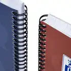 Kołozeszyt B5 100 kartek w kratkę Oxford Touch Trend