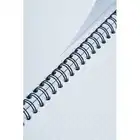 Kołozeszyt B5 100 kartek w kratkę Oxford Touch Trend