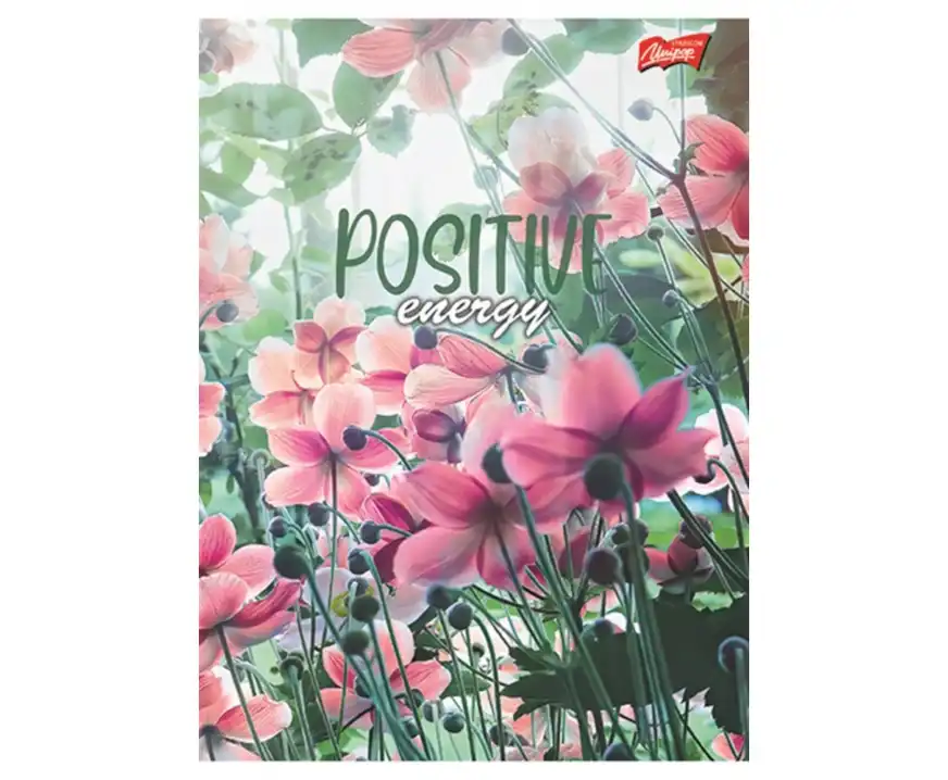 Zeszyt A5 w linię 80 kartek Meadow Unipap