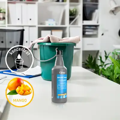 Środek do mycia powierzchni wodoodpornych Clinex Multi Clean Mango 1l