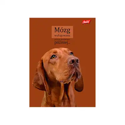 Zeszyt A5 60 kartek w linię Doggy Moods