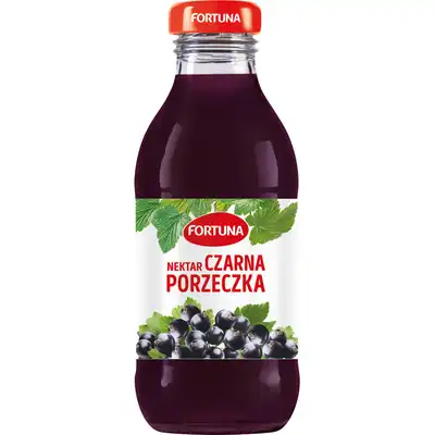 Sok porzeczkowy Fortuna 0,3l szkło