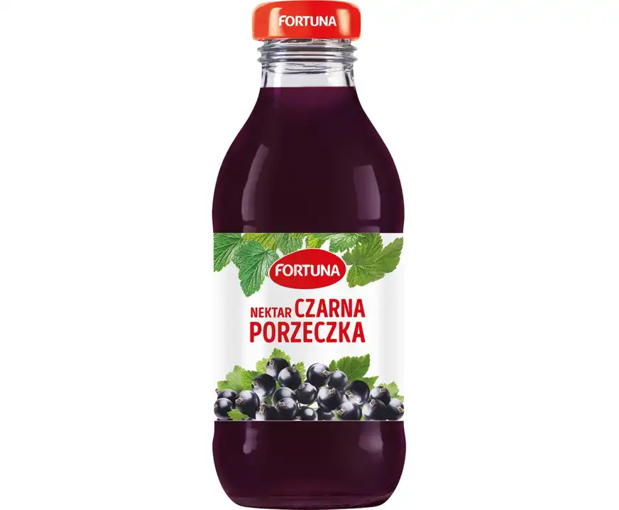 Sok porzeczkowy Fortuna 0,3l szkło