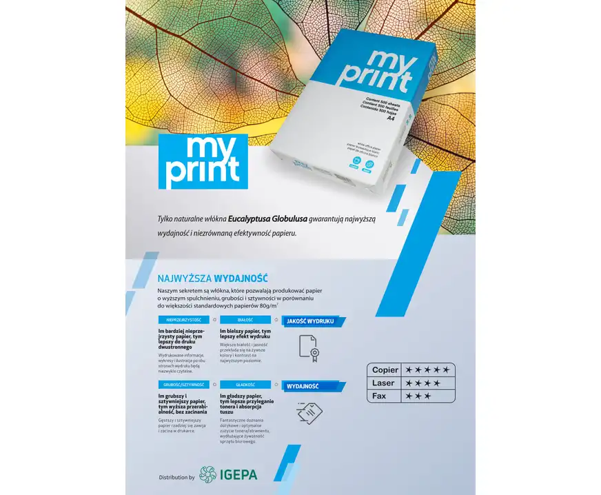 Papier ksero A4 80g My Print