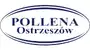 Logo producenta: Pollena. Kliknij, aby zobaczyć wszystkie produkty producenta Pollena.