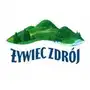 Logo producenta: Żywiec Zdrój. Kliknij, aby zobaczyć wszystkie produkty producenta Żywiec Zdrój.